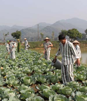 Giờ lao động của phạm nhân tại trại giam Nam Hà (Kim Bảng, Hà Nam)