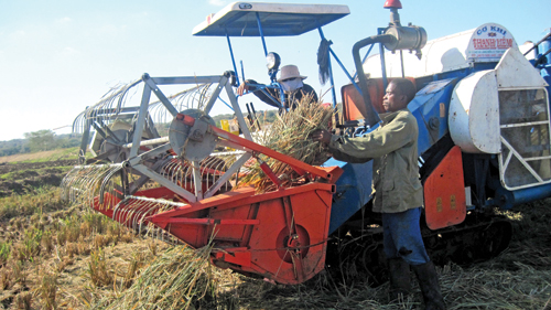 Máy gặt đập liên hợp Thanh Liêm trên cánh đồng ở Mozambique